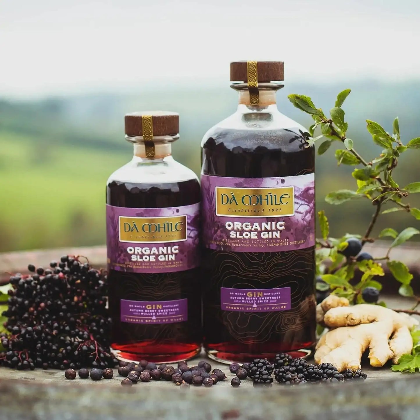 Da Mhile Sloe gin