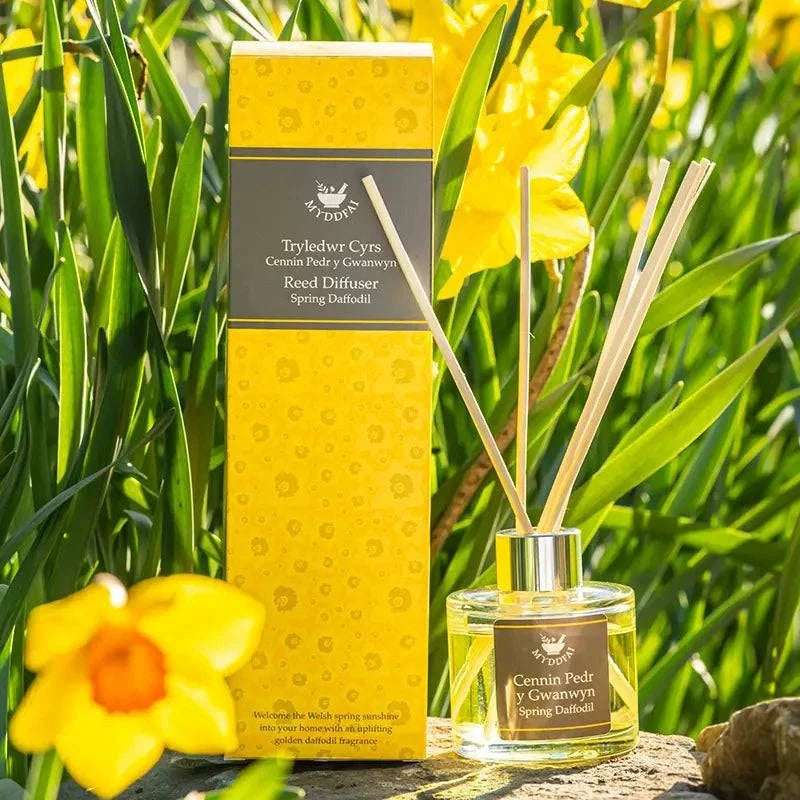 Spring daffodil reed diffuser