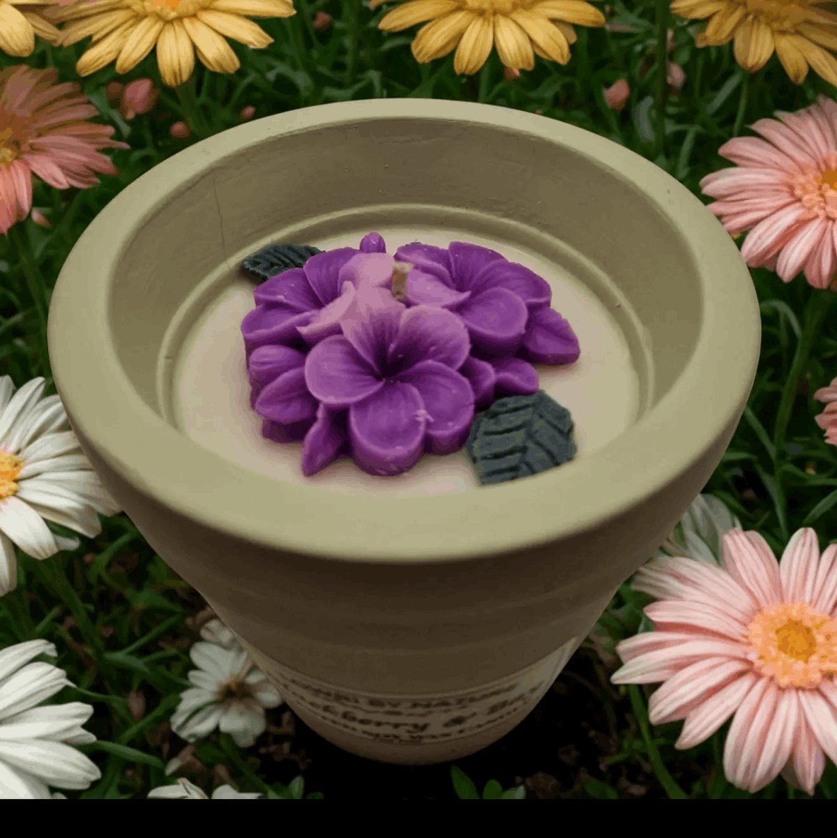 Top of Blackberry and bay flowerpot candle