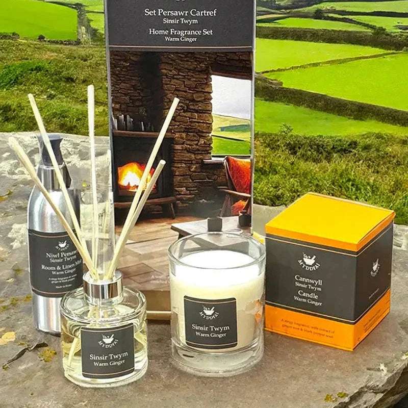 Warm ginger home fragrance gift set