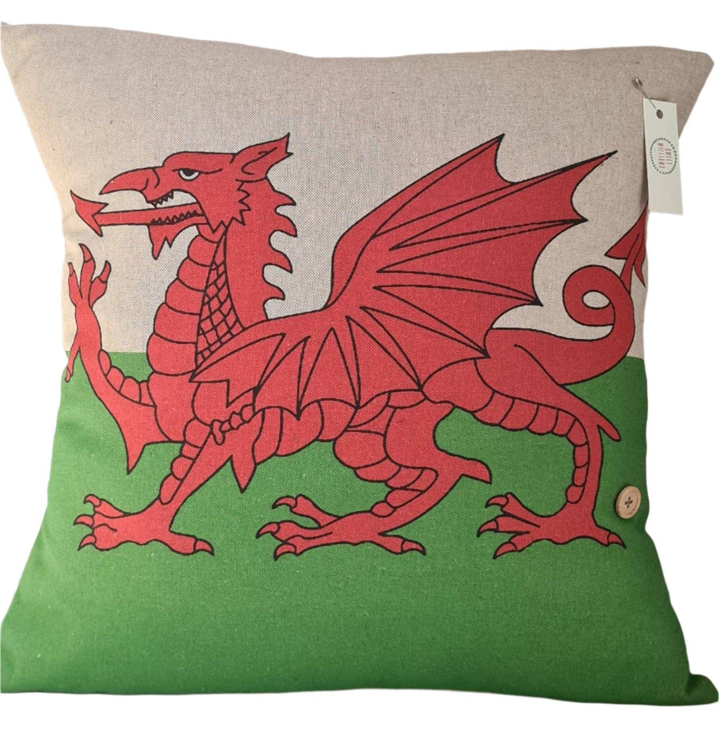 Dragon pint cushion