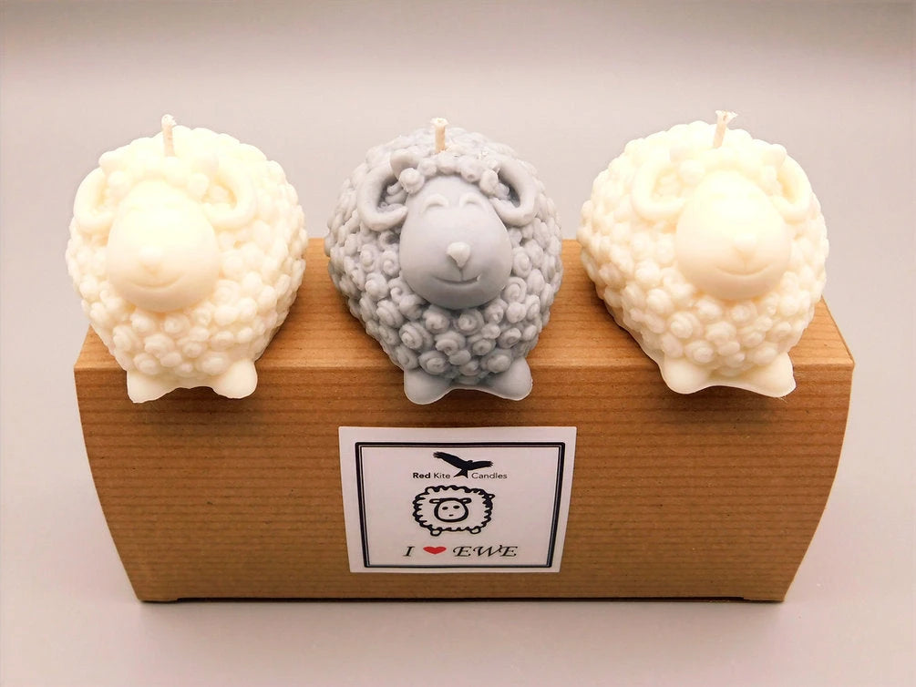 Welsh home fragrance and candles| Gifts of Wales