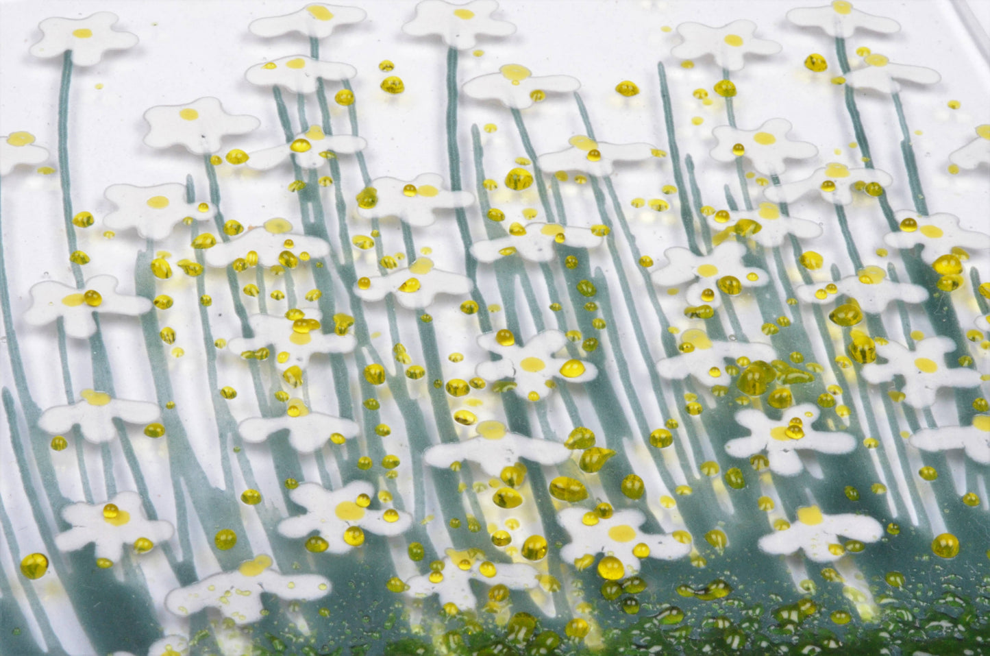 Handmade Fused Glass Greeting Card -  Daisy Card - Gifts of Wales