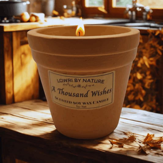 A thousand wishes plant pot candle