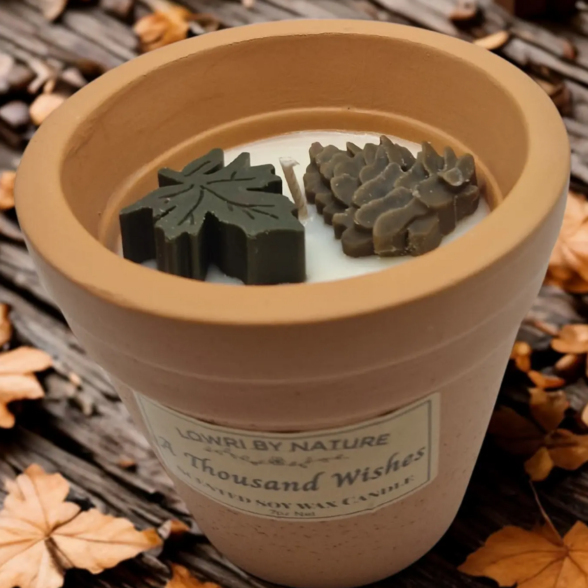 A thousand wishes plant pot candle Top view