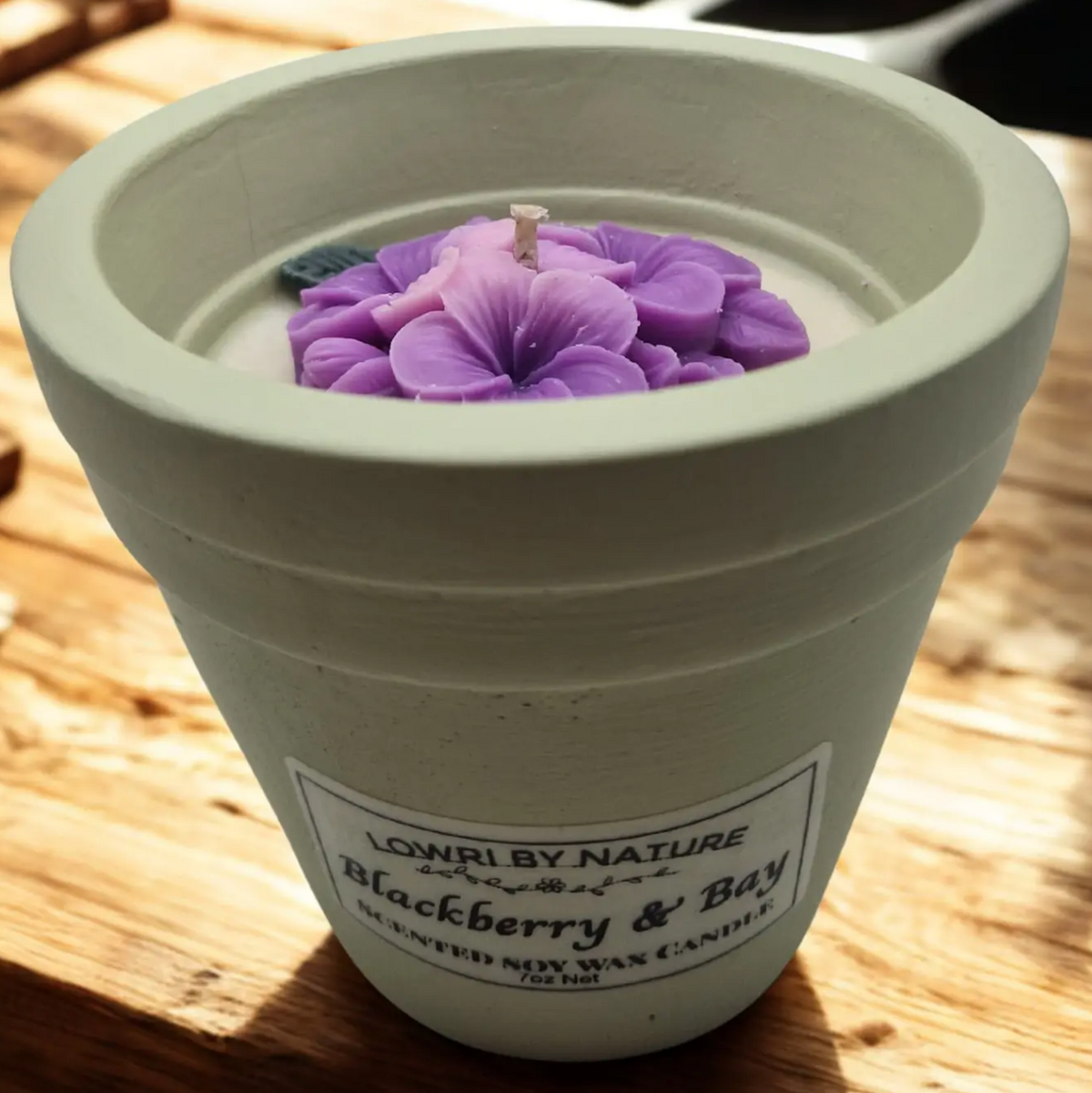 Blackberry and bay flowerpot candle 