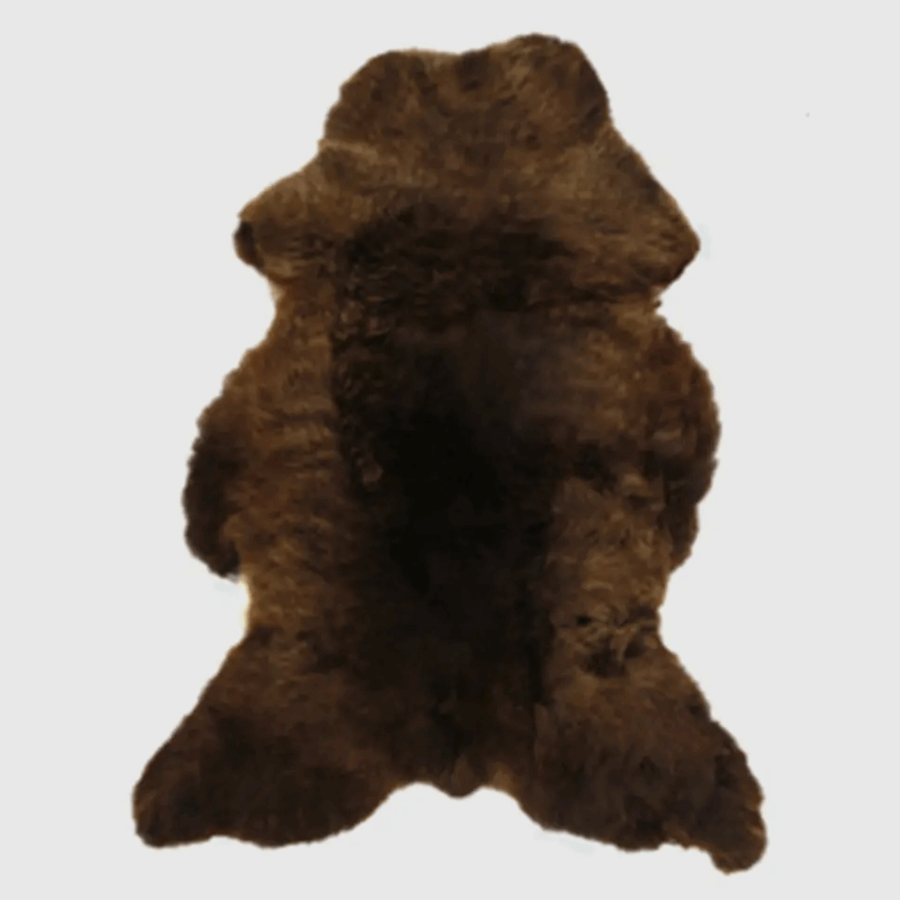 Brown sheepskin