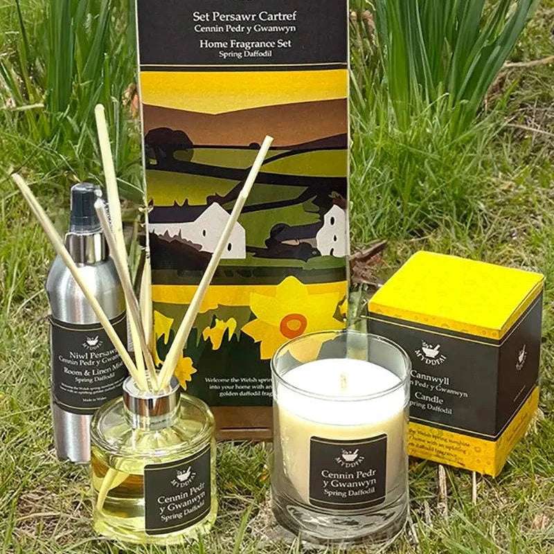 Daffodil home fragrance gift set - Gifts of Wales