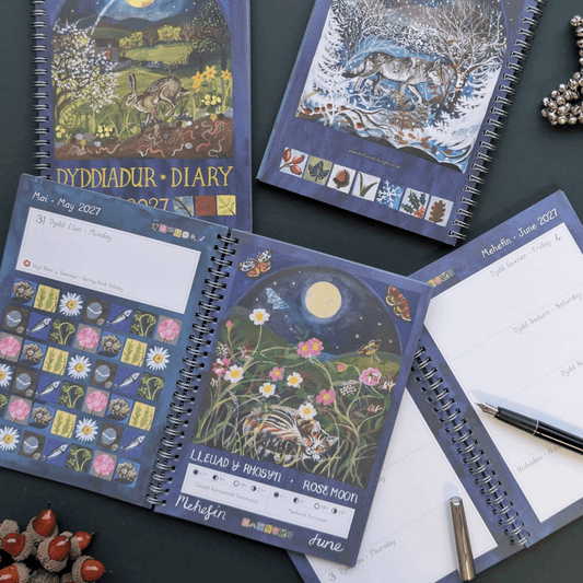 Full moons 2027 spiral bound diary