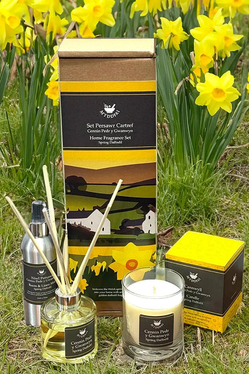 Daffodil home fragrance gift set - Gifts of Wales