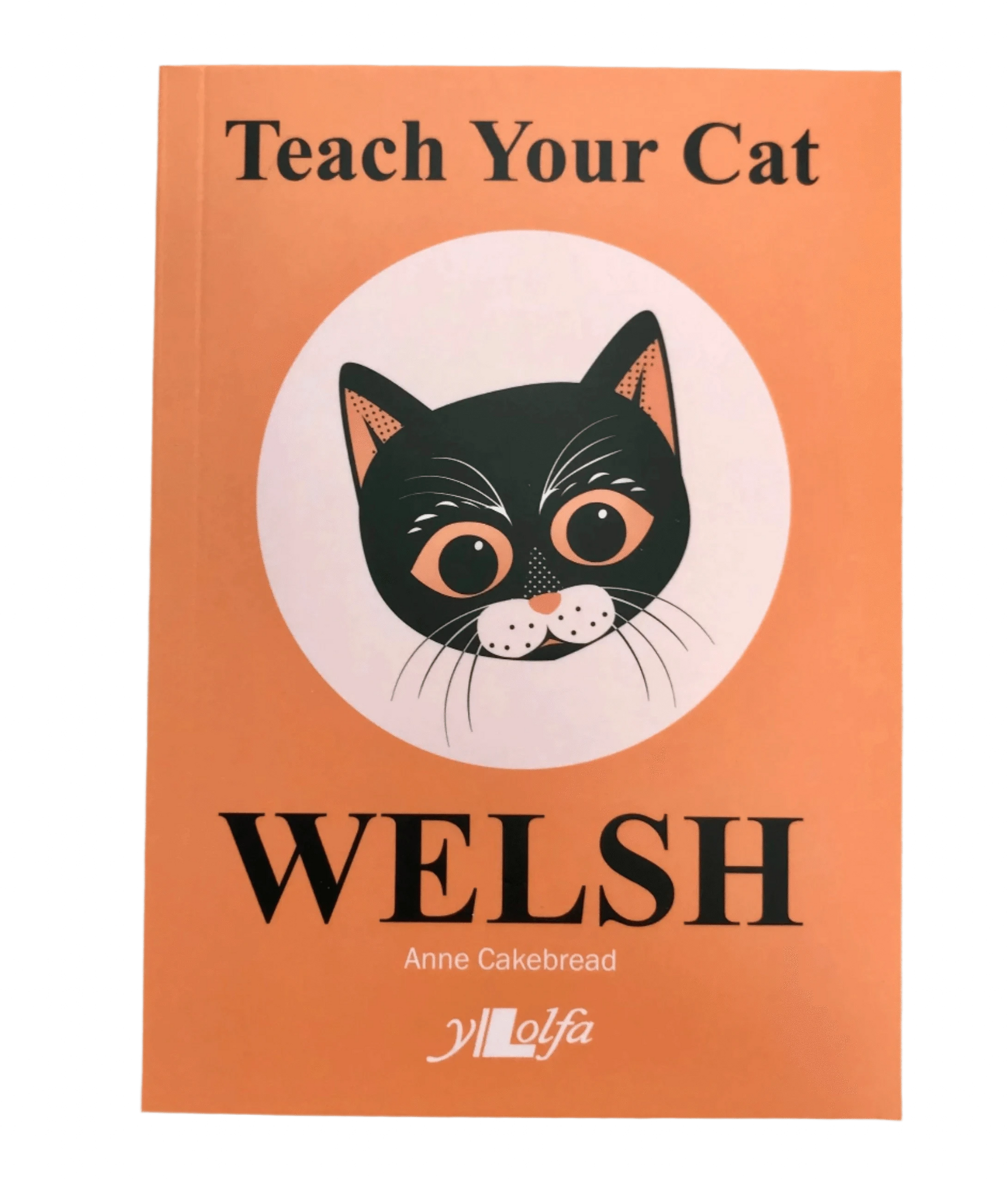 Teach your cat welsh 