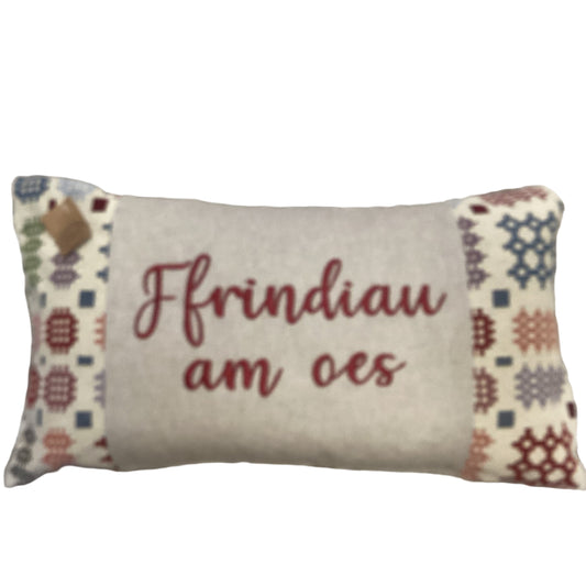 Ffrindiau am oes cushion