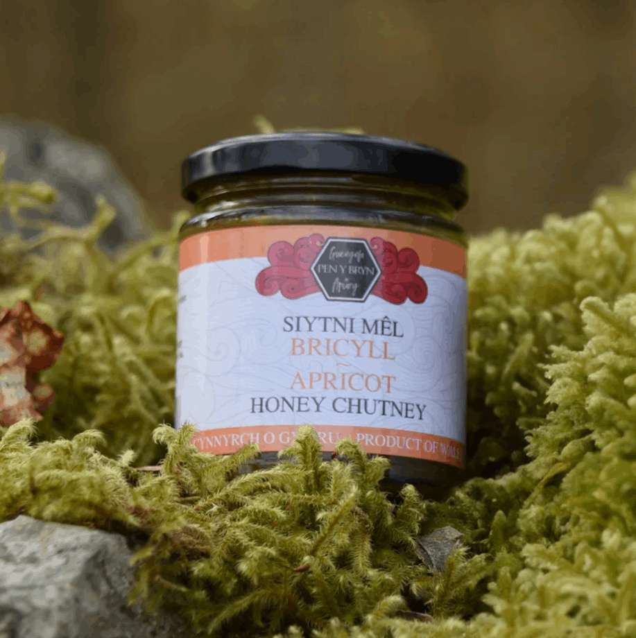 Siytni mêl bricyll / apricot honey chutney