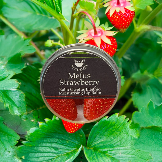 Strawberry lip balm | Gifts of Wales