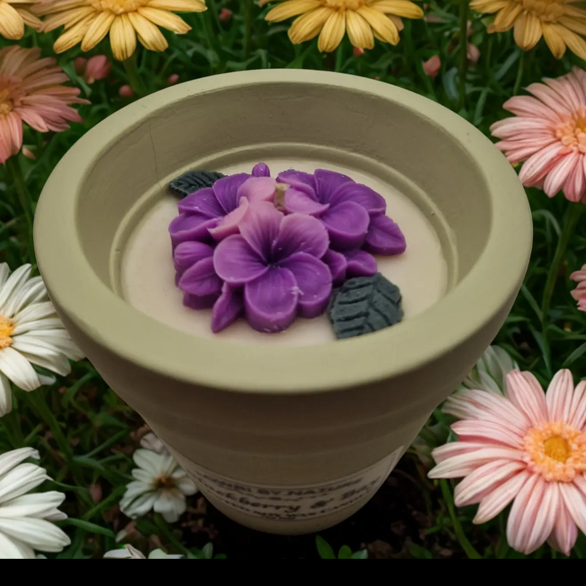 Top of Blackberry and bay flowerpot candle 