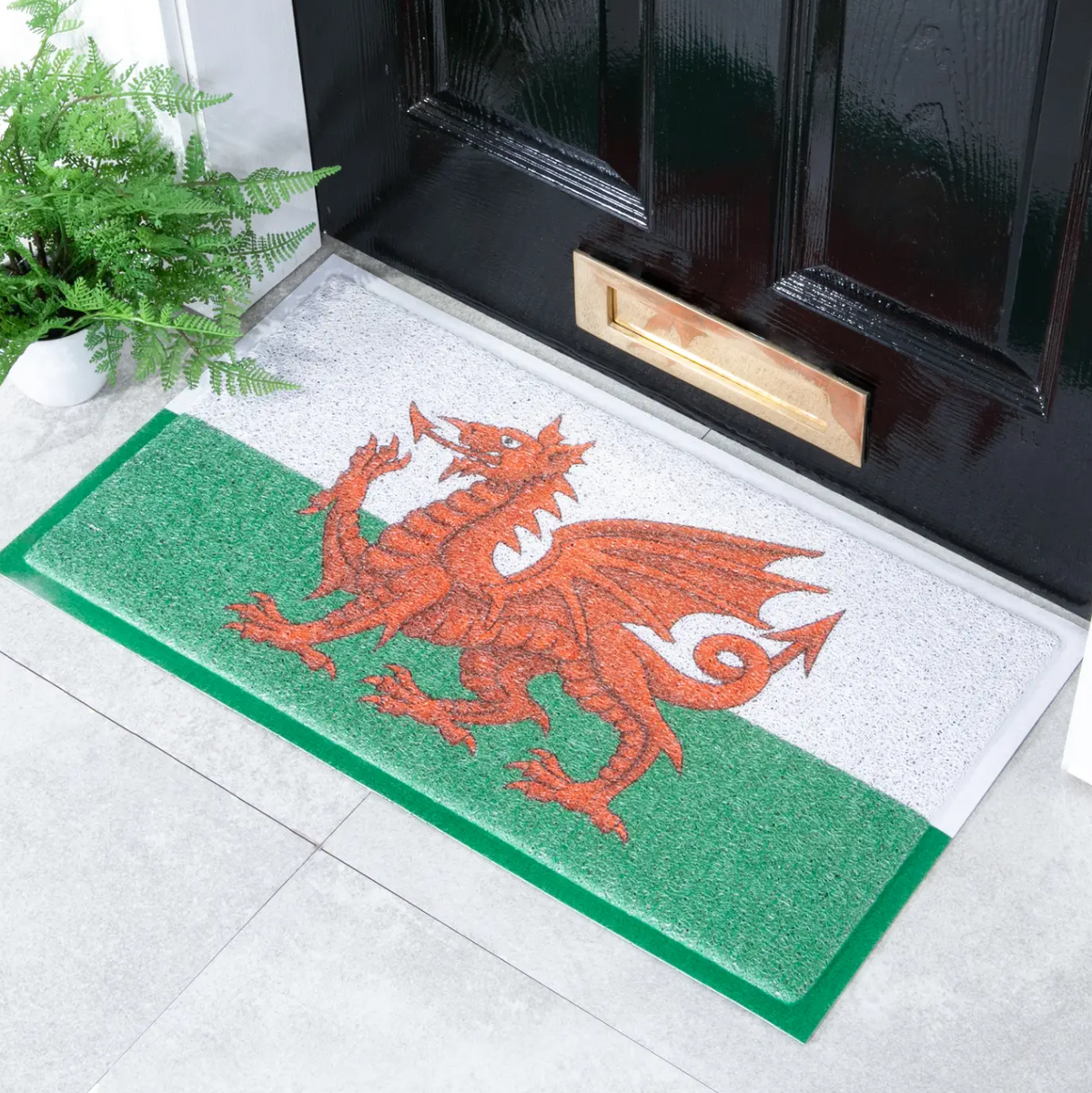 Welsh flag noodle door mat 