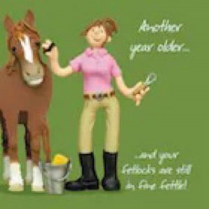 Horse lovers card