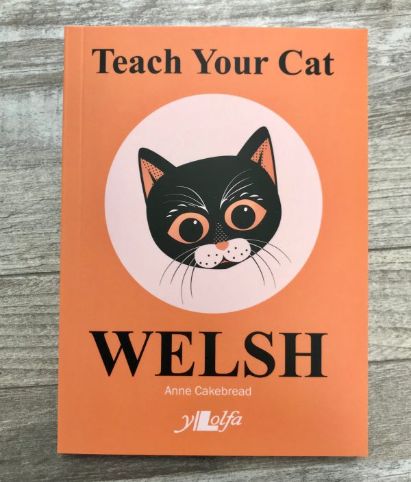 Teach your cat Welsh